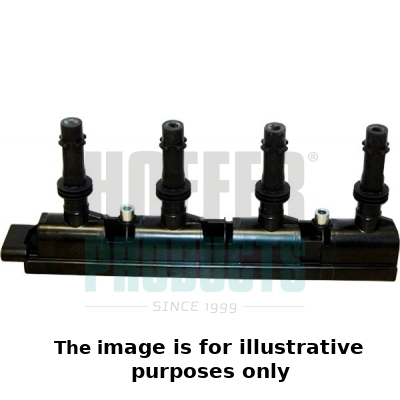 Ignition Coil (WG1902106)