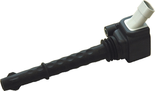 Ignition Coil (WG1012365)