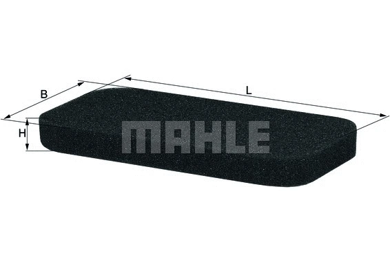 Filter, cabin air (WG1215741)