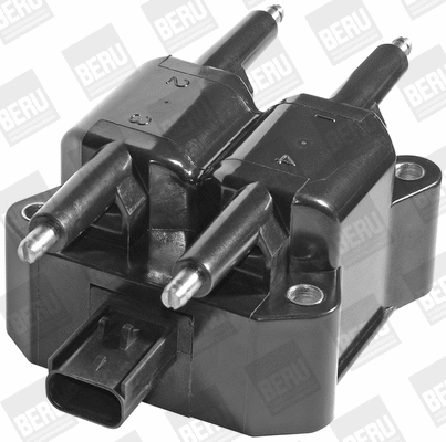Ignition Coil (WG1940699)
