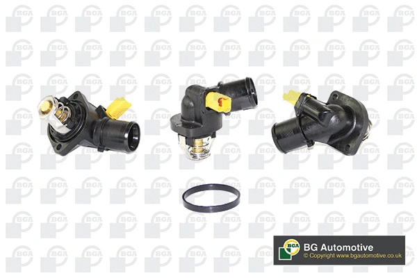 Thermostat, coolant (WG1760331)