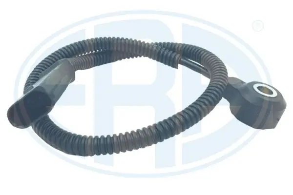 Knock Sensor (WG1822282)