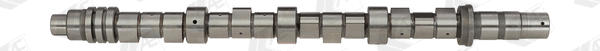 Camshaft (WG1171912)