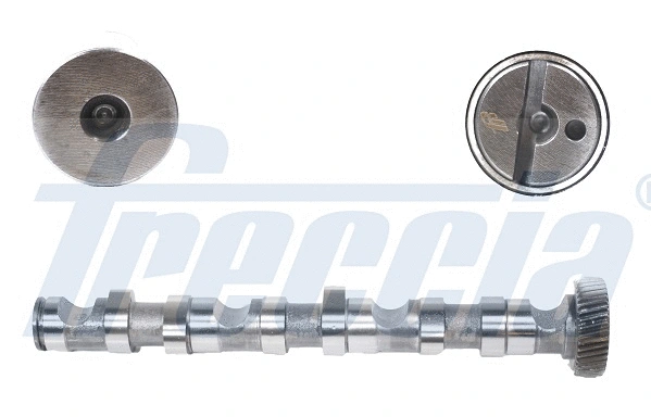 Camshaft (WG1155340)