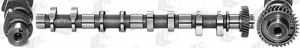 Camshaft (WG1462578)