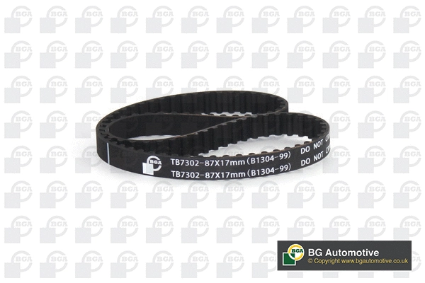 Timing Belt (WG2258672)