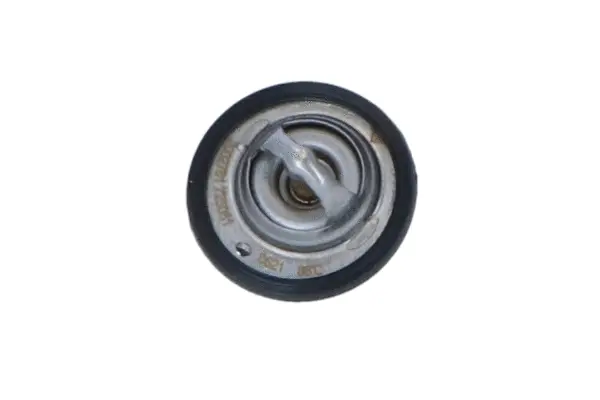 Thermostat, coolant (WG2184683)