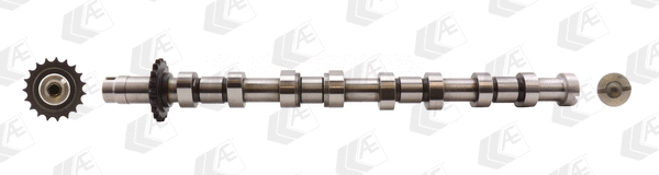 Camshaft (WG1171957)