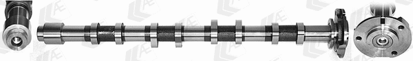 Camshaft (WG1462584)