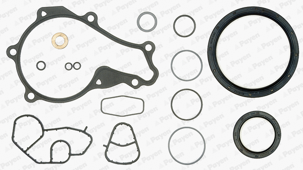 Gasket Kit, crankcase (WG1145370)
