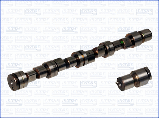 Camshaft (WG1170790)