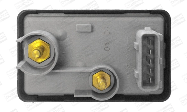Control Unit, glow time (WG2009690)
