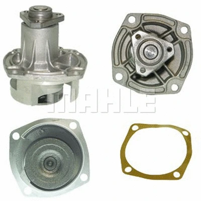 Water Pump, engine cooling (WG2181589)