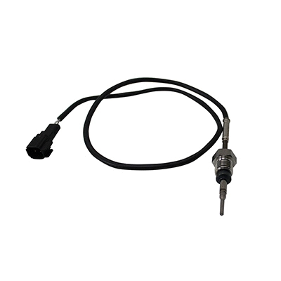 Sensor, exhaust gas temperature (WG2152199)