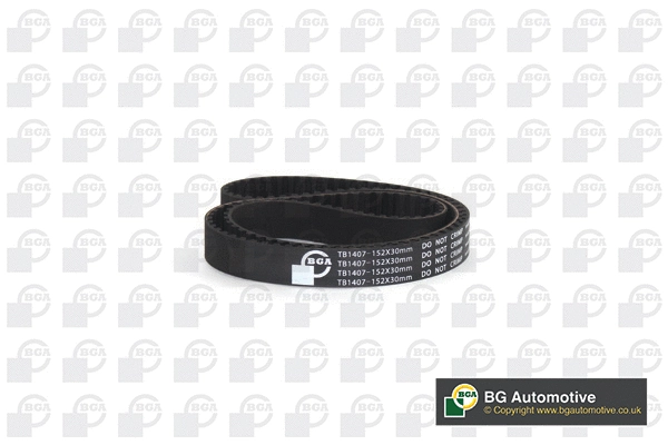 Timing Belt (WG2258436)