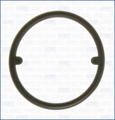 Seal Ring, oil cooler (WG1447323)