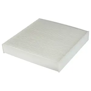 Filter, cabin air (WG1774782)