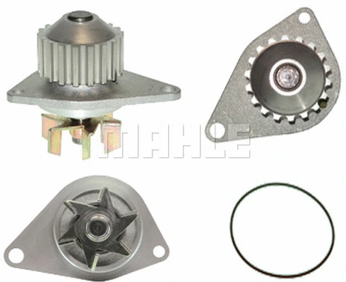 Water Pump, engine cooling (WG2181866)