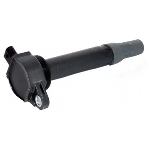 Ignition Coil (WG1498857)