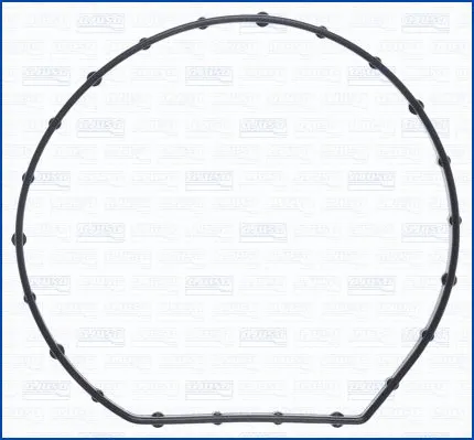 Gasket, water pump (WG1956802)