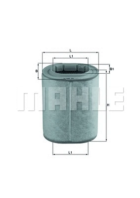 Air Filter (WG1215917)