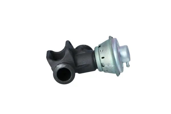 EGR Valve (WG2161864)