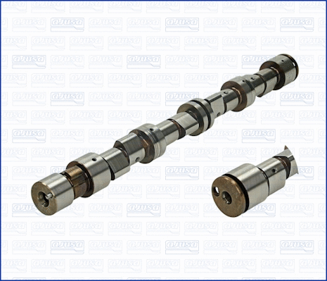 Camshaft (WG1170896)