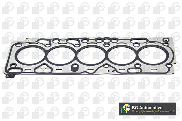 Gasket, cylinder head (WG1910524)