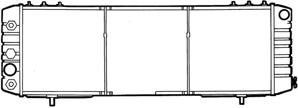 Radiator, engine cooling (WG1721246)