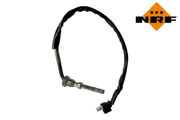 Sensor, exhaust gas temperature (WG2195581)