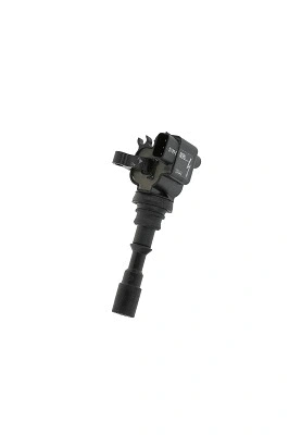 Ignition Coil (WG1756482)