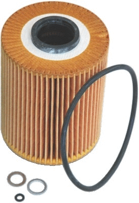 Oil Filter (WG1746616)