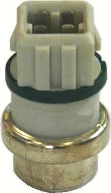 Temperature Switch, radiator fan (WG1748912)