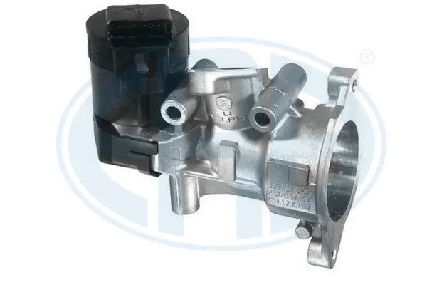 EGR Valve (WG1494604)