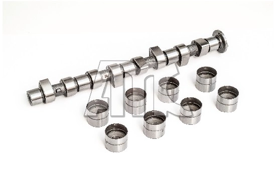 Camshaft Kit (WG2010540)