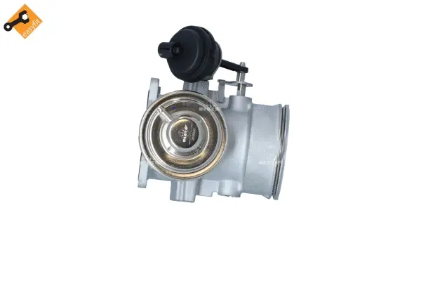 EGR Valve (WG2161819)
