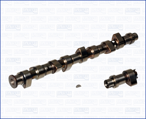 Camshaft (WG1170782)