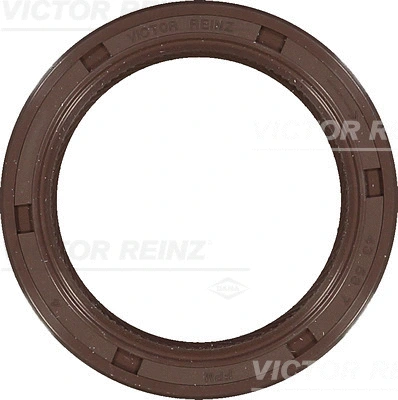Shaft Seal, crankshaft (WG1250377)