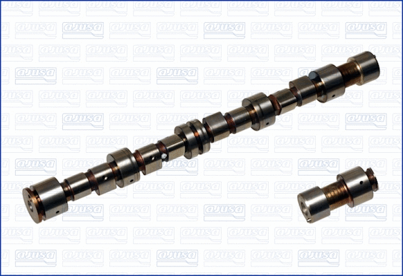 Camshaft (WG1171048)