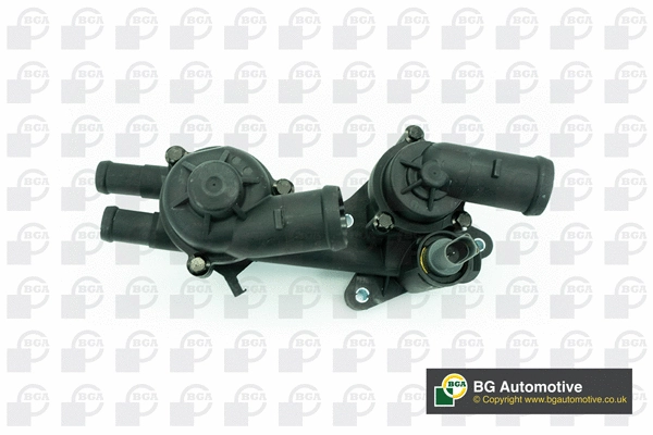 Thermostat, coolant (WG1991878)