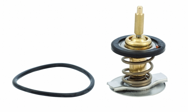 Thermostat, coolant (WG1409484)