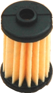 Fuel Filter (WG1748096)