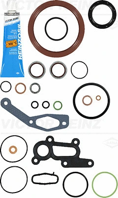 Gasket Kit, crankcase (WG1242070)