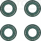 Seal Set, valve stem (WG1242541)