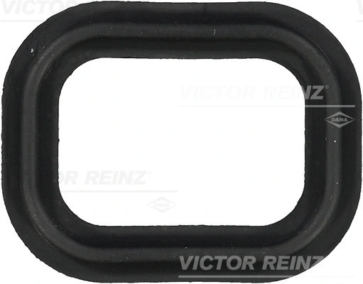 Gasket, intake manifold (WG1247685)