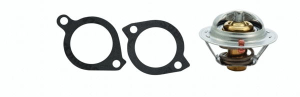 Thermostat, coolant (WG1409246)