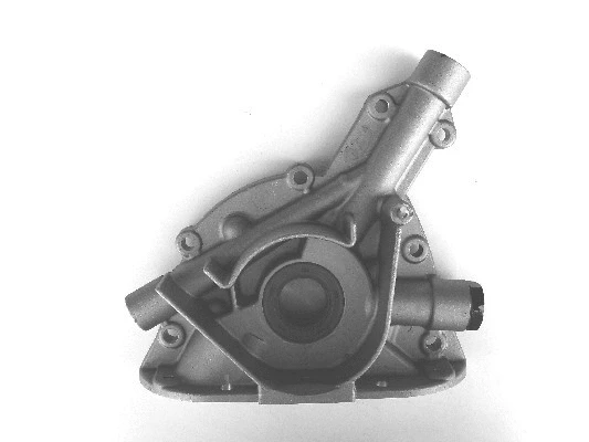 Oil Pump (WG1489638)