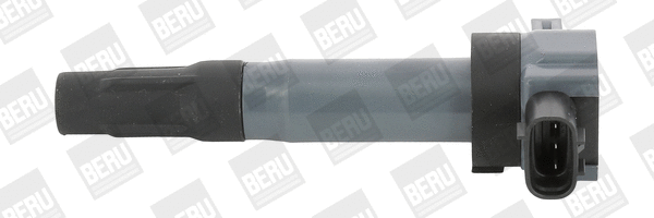 Ignition Coil (WG1940721)