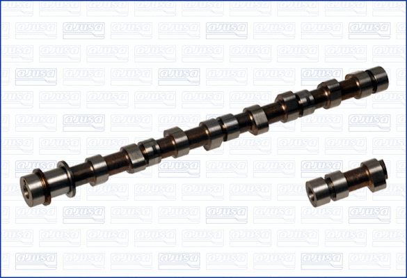 Camshaft (WG1456160)