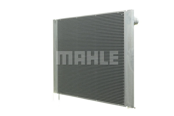 Radiator, engine cooling (WG2183779)